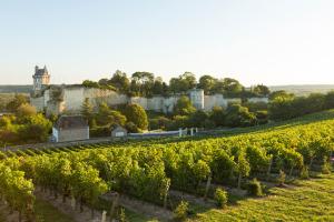 Un Tour des vignobles